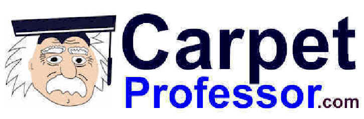 Carpet Professor Logo