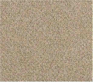 PLUSH STYLE CARPET